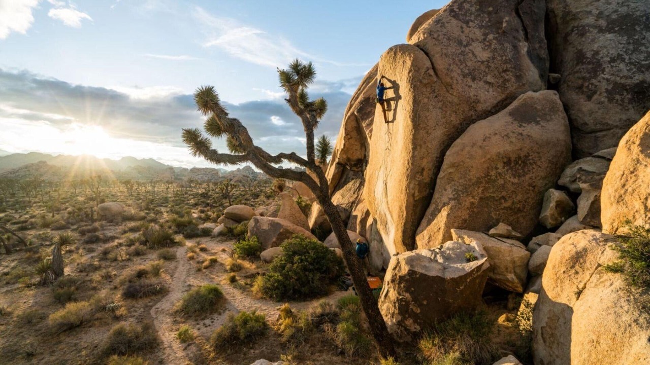 Photo of Others in Palm Desert