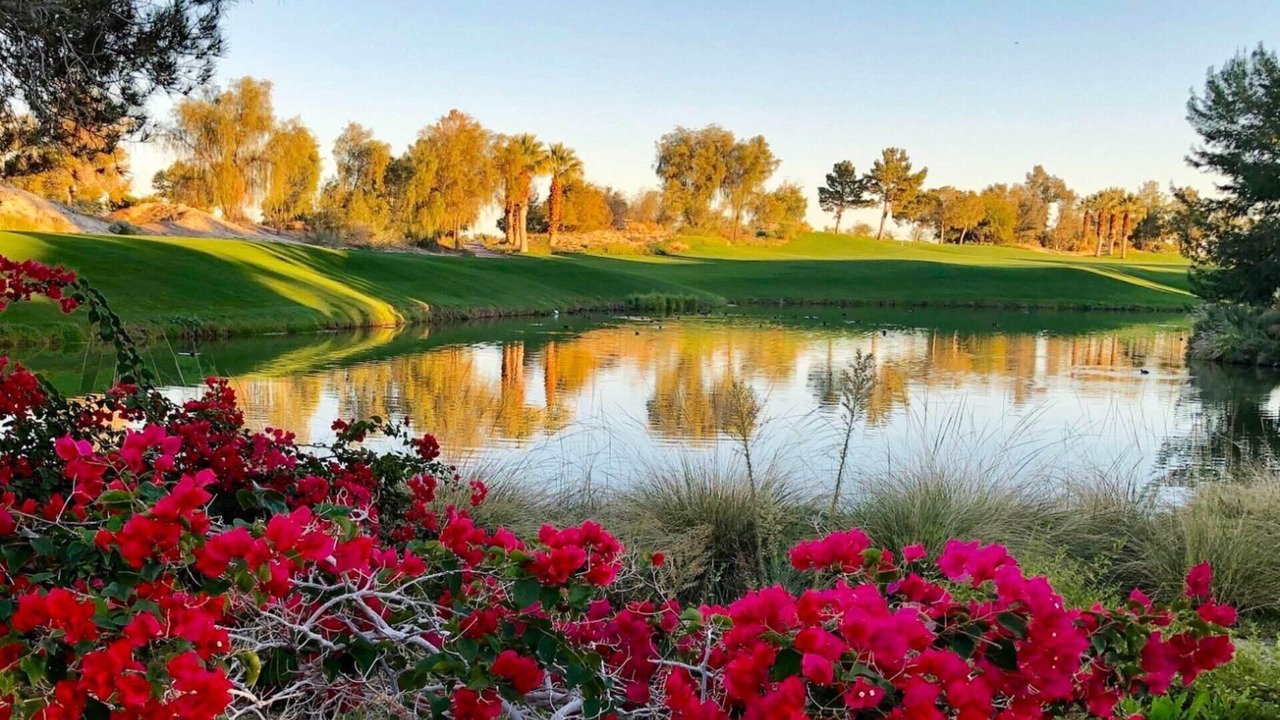 Photo of Others in Palm Desert