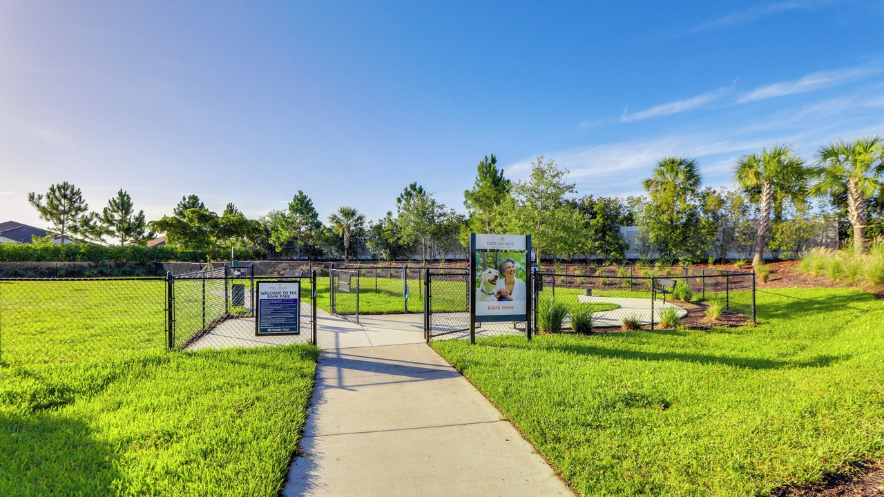 Photo of Outdoor in Braden River