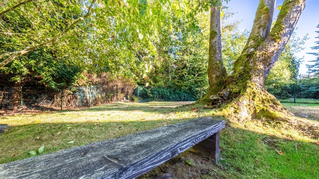 Photo of Outdoor in West Lake Stevens