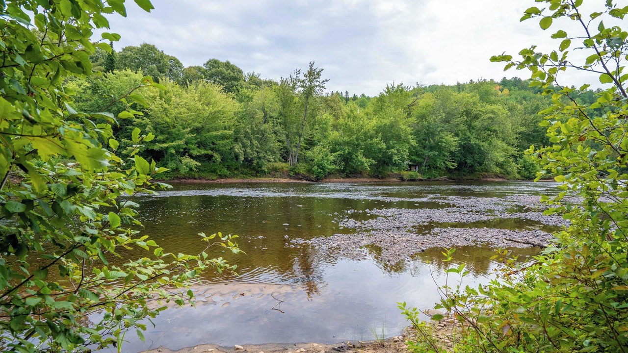 Photo of Others in Saint-Alexis-des-Monts