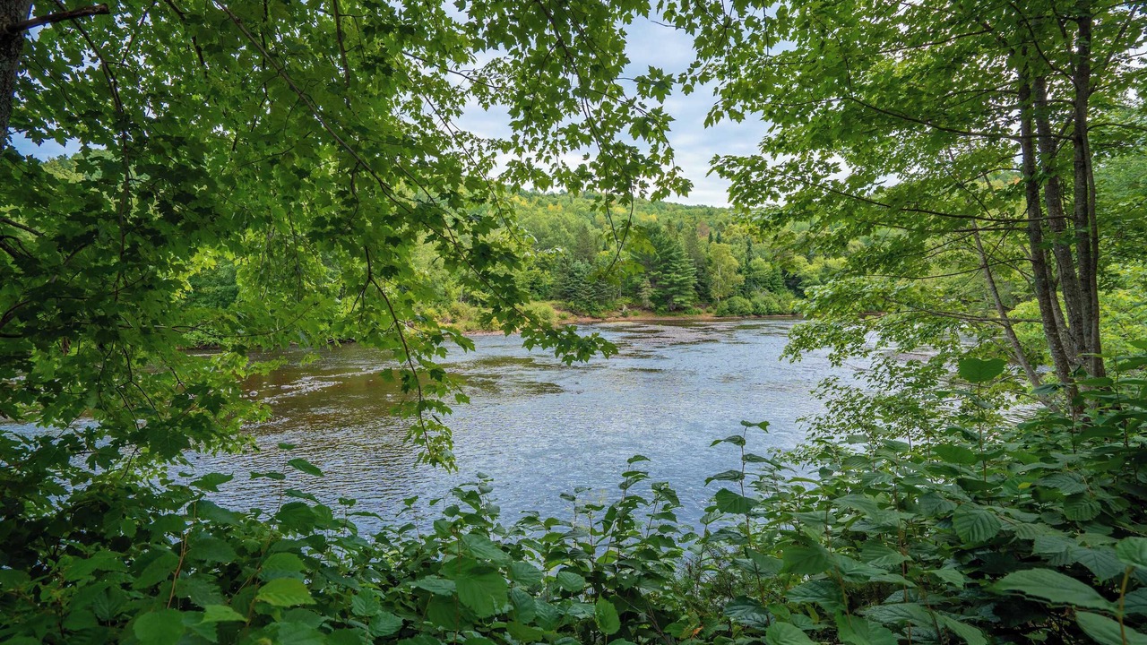 Photo of Others in Saint-Alexis-des-Monts