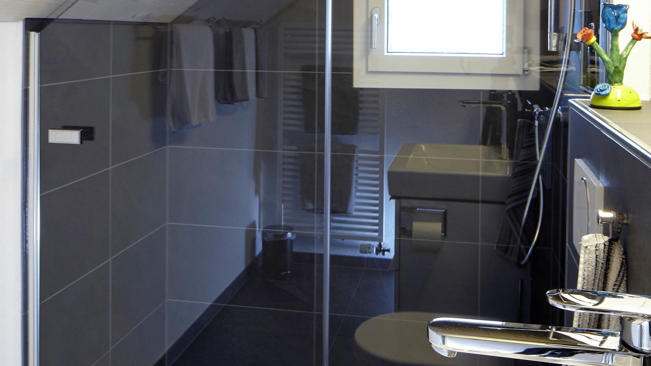 Photo of Bathroom in Brienzwiler
