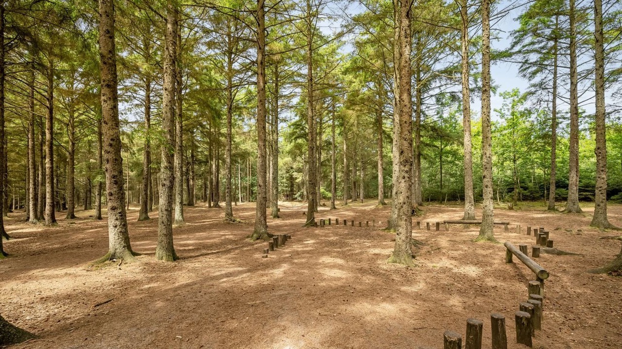 Photo of Outdoor in Nørre Fjand