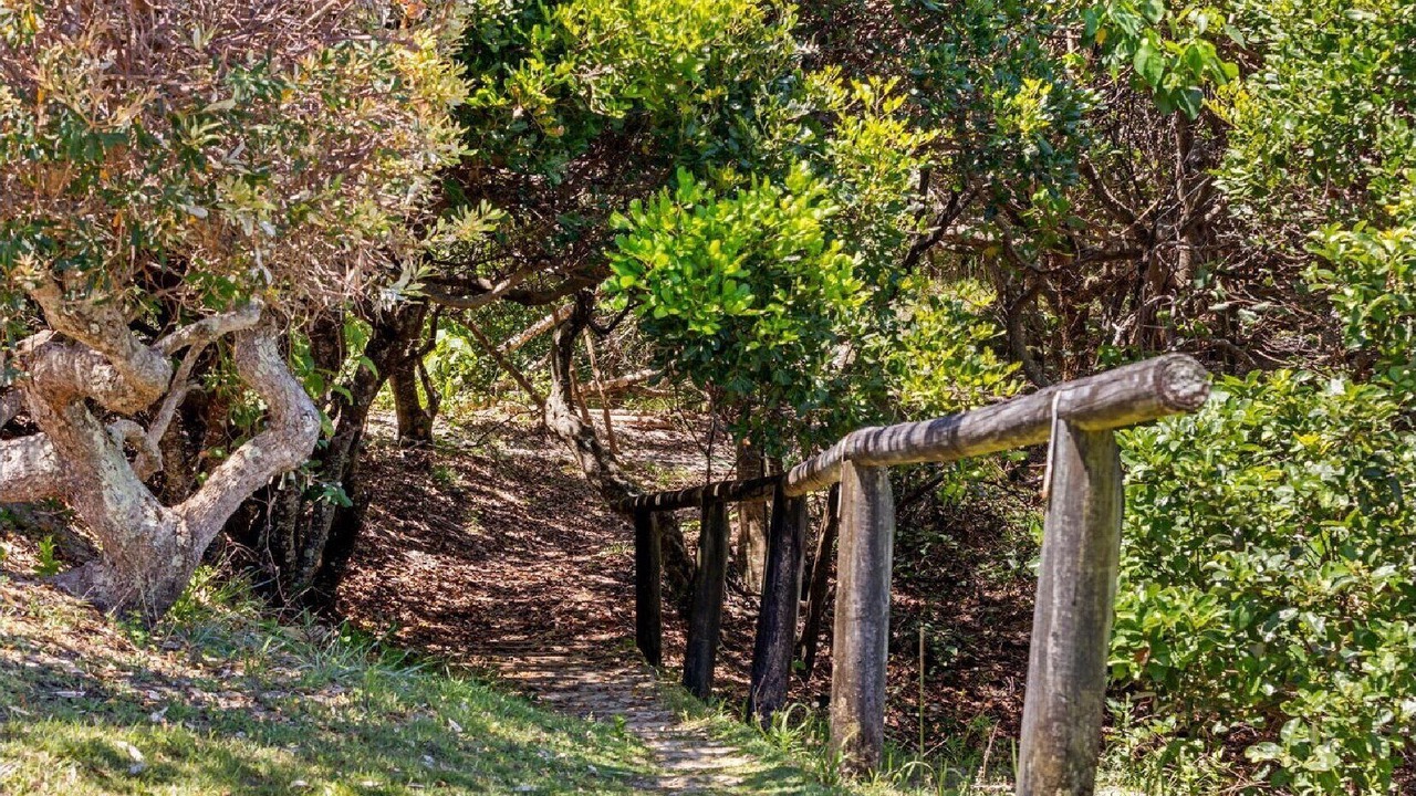 Photo of Others in Hastings Point