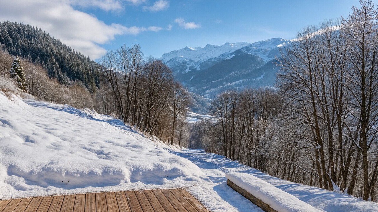 Photo of Others in Meribel Village
