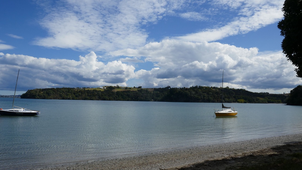 Photo of Others in Tawharanui