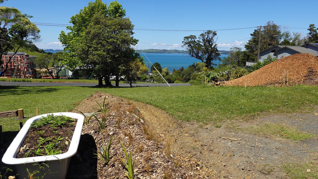 Photo of Others in Tawharanui