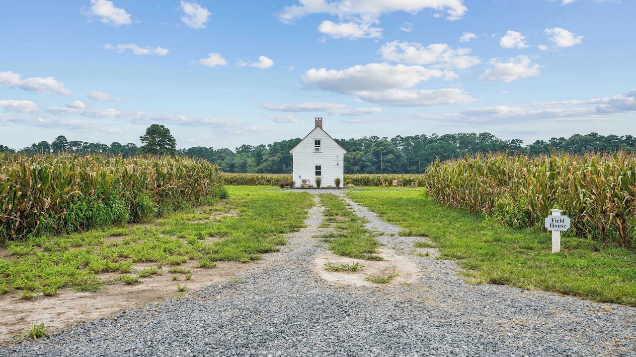 Photo of Outdoor in Locustville