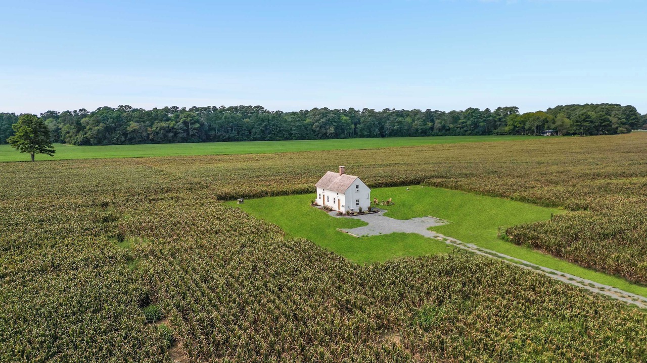 Photo of Outdoor in Locustville