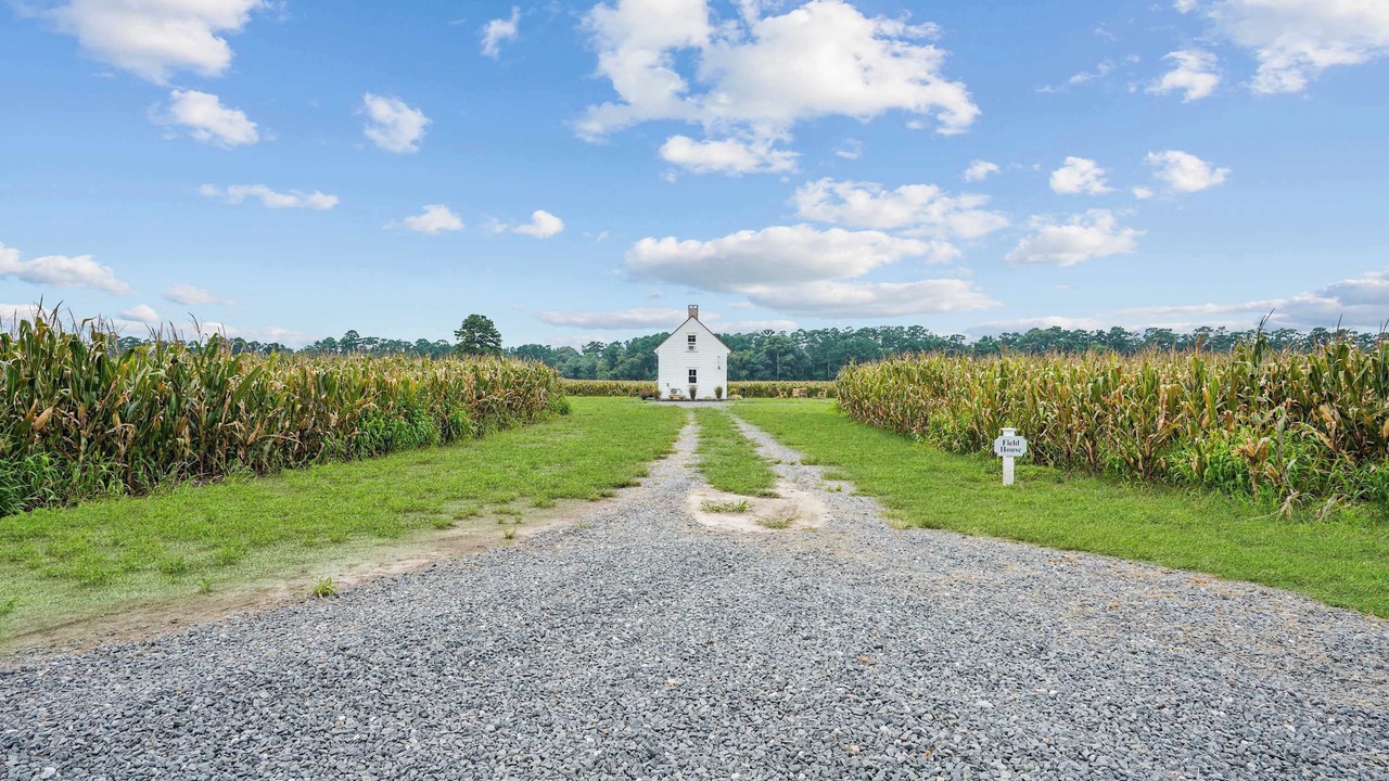 Photo of Outdoor in Locustville