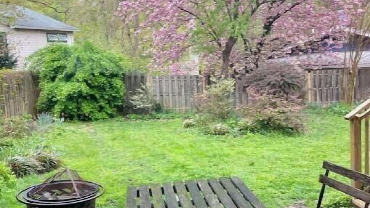 Photo of Outdoor in Takoma Park