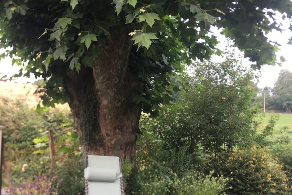 Photo of Outdoor in Bearn-Basque Country