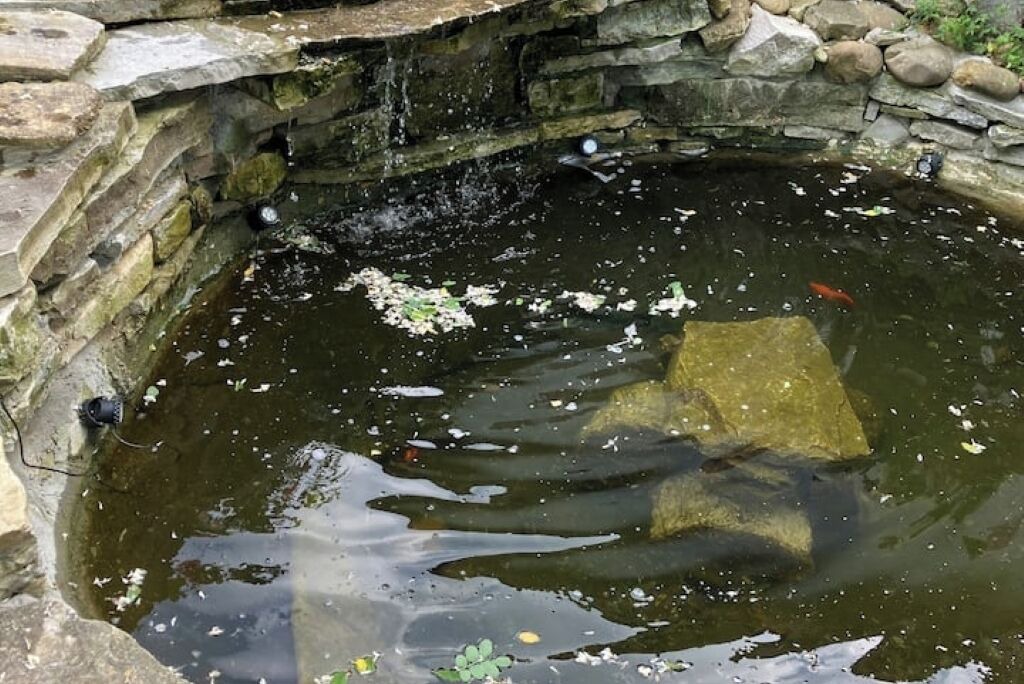 Photo of Others in Bearn-Basque Country