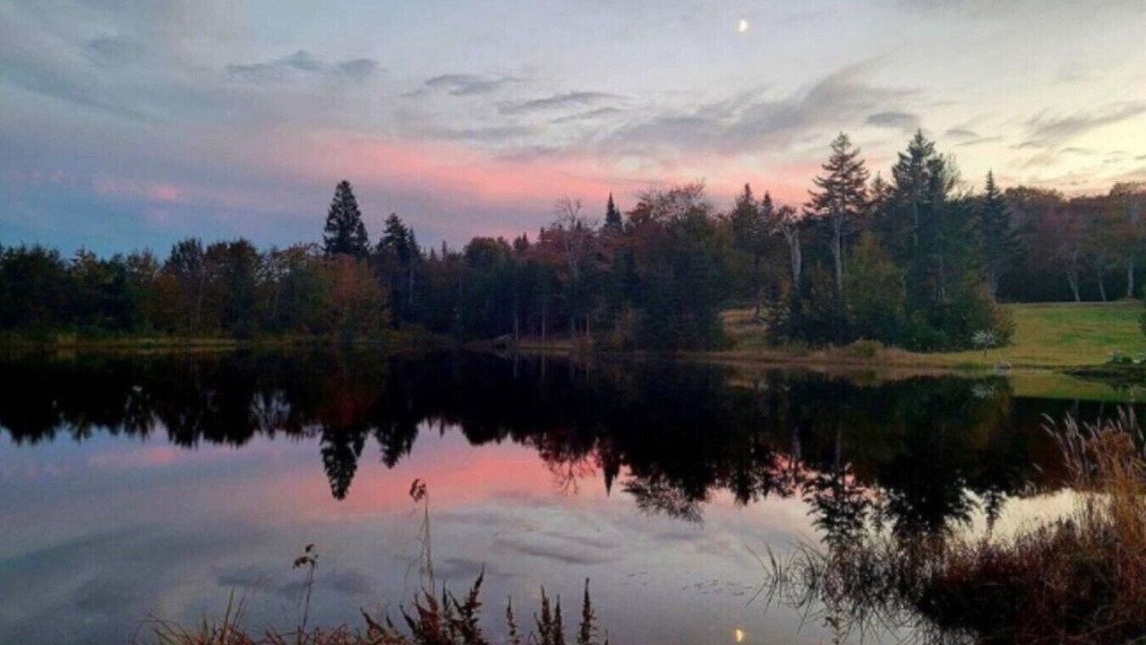 Photo of Others in Erbs Cove