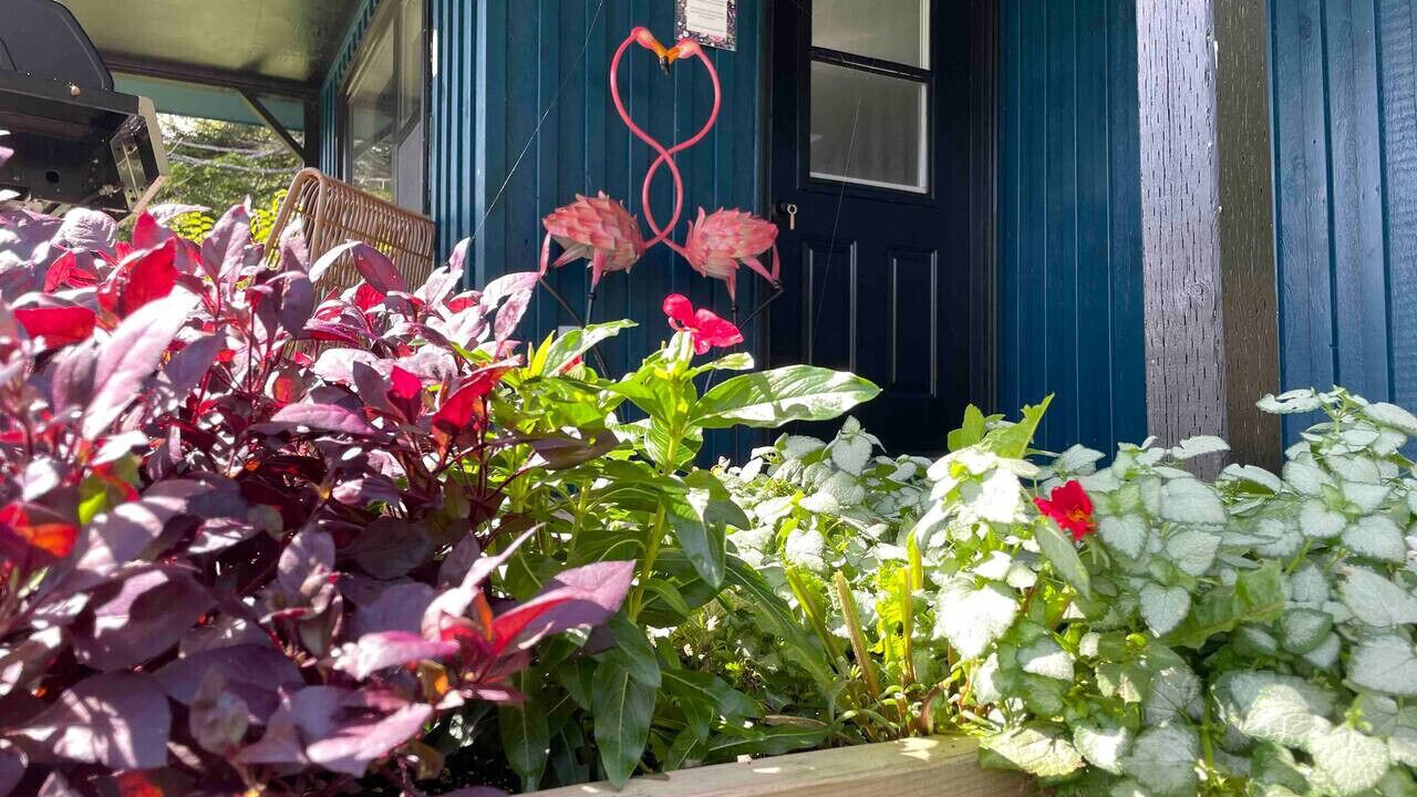 Photo of Outdoor in Erbs Cove