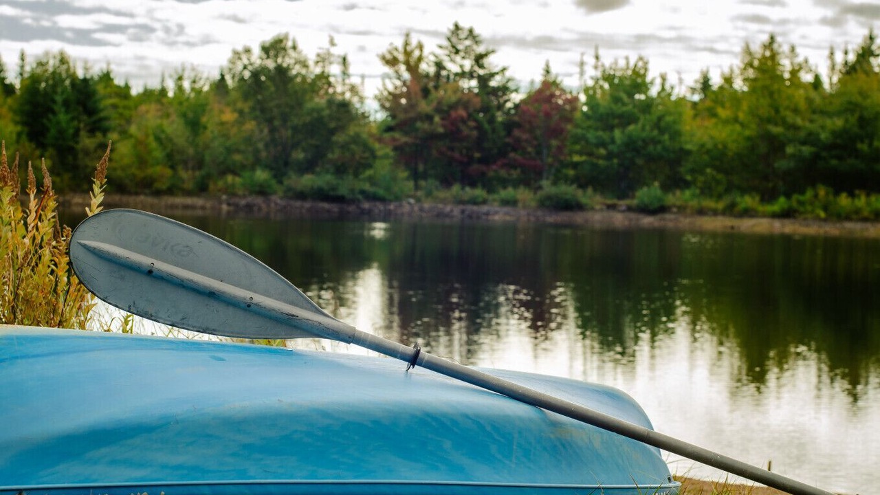 Photo of Others in Erbs Cove