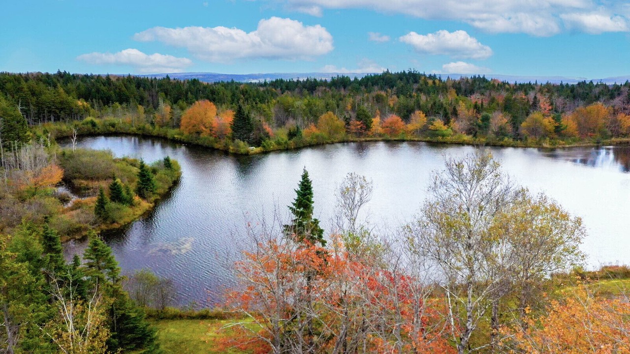 Photo of Others in Erbs Cove