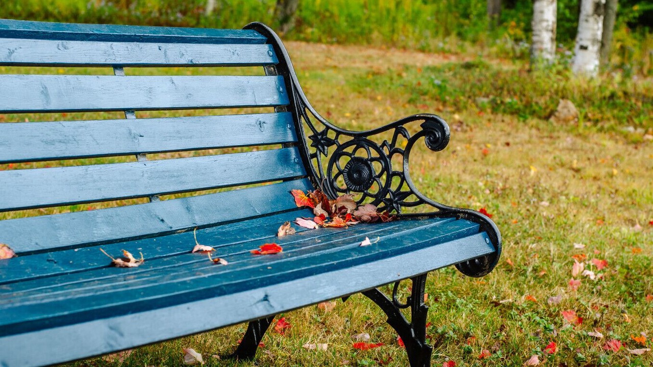 Photo of Outdoor in Erbs Cove