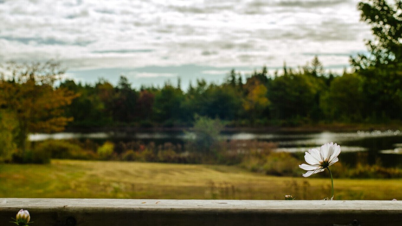 Photo of Others in Erbs Cove