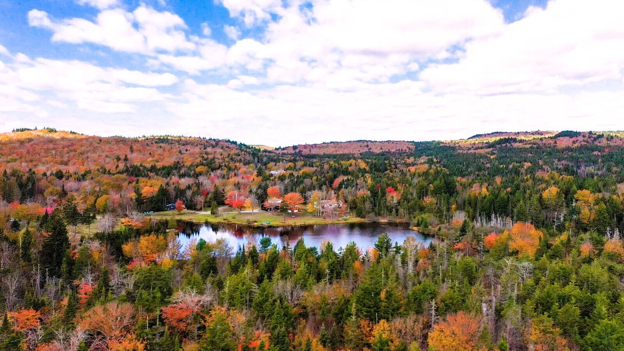 Photo of Others in Erbs Cove