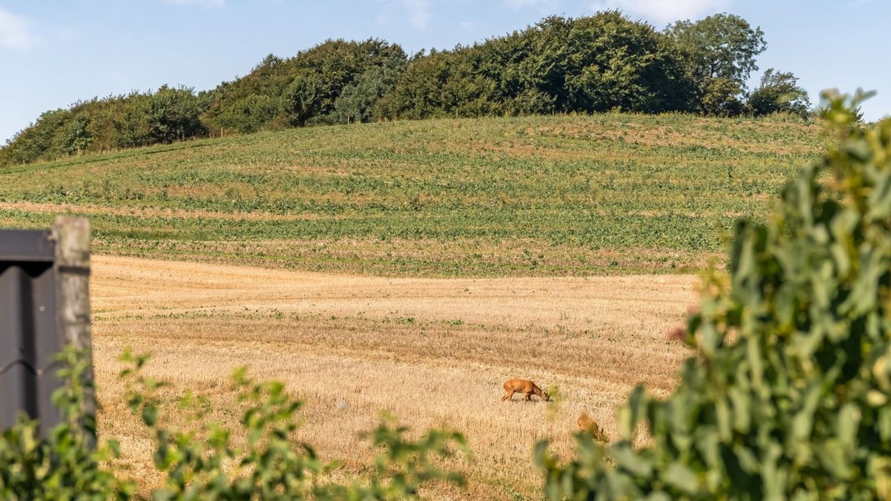 Photo of Outdoor in Floutrup