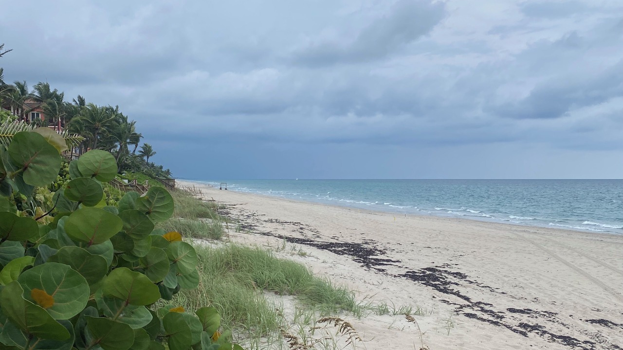 Photo of Others in Highland Beach