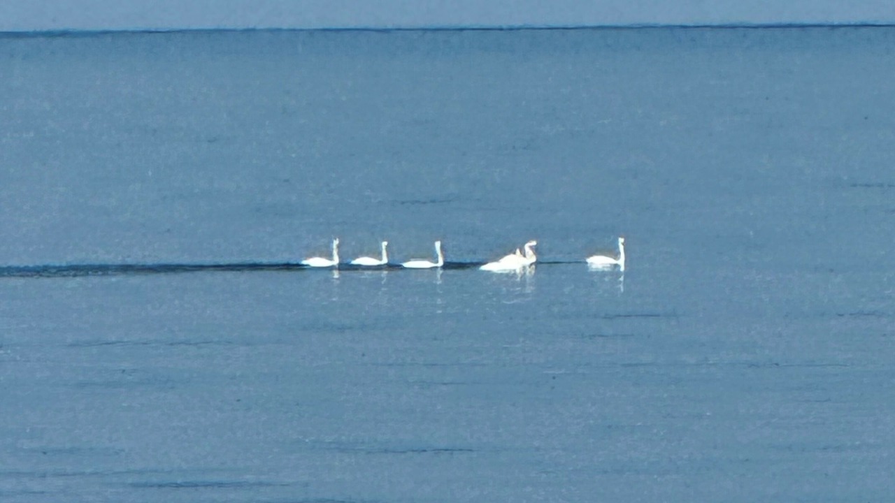 Photo of Others in Lambton Shores