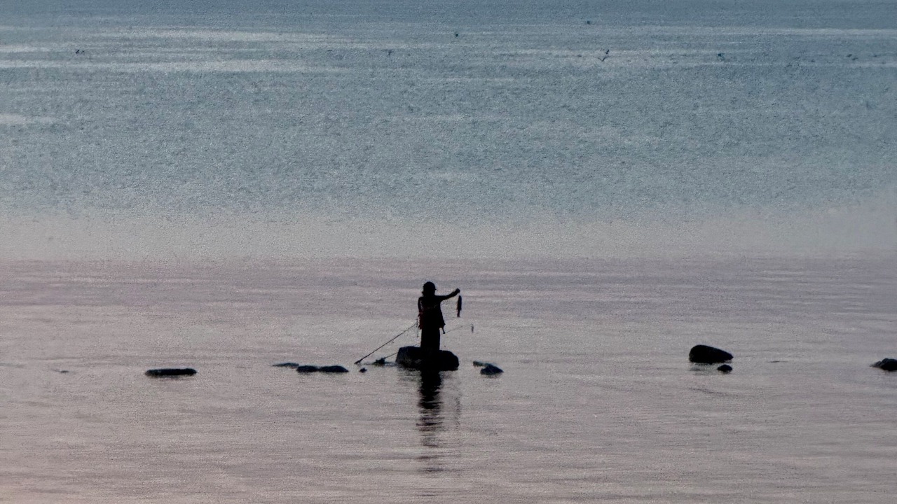 Photo of Others in Lambton Shores