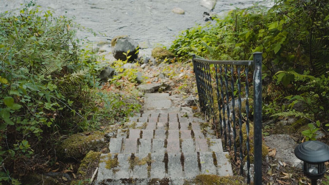Photo of Others in Lewis County