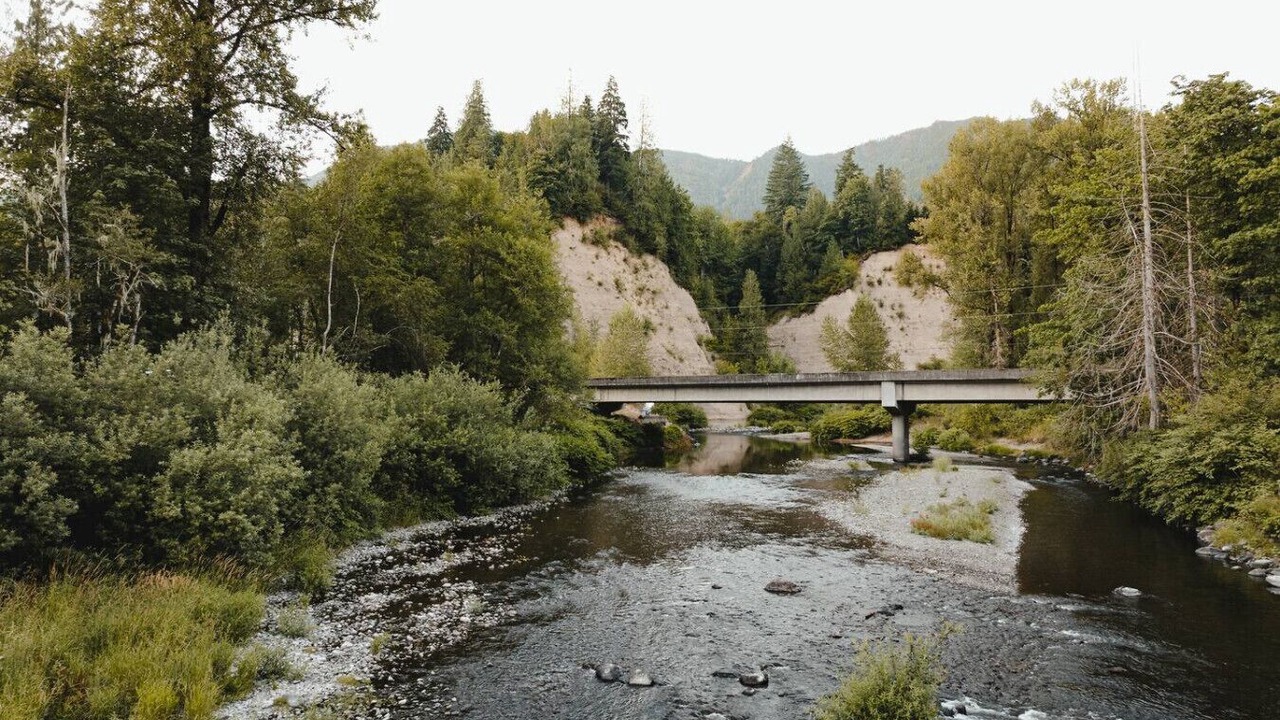 Photo of Others in Lewis County