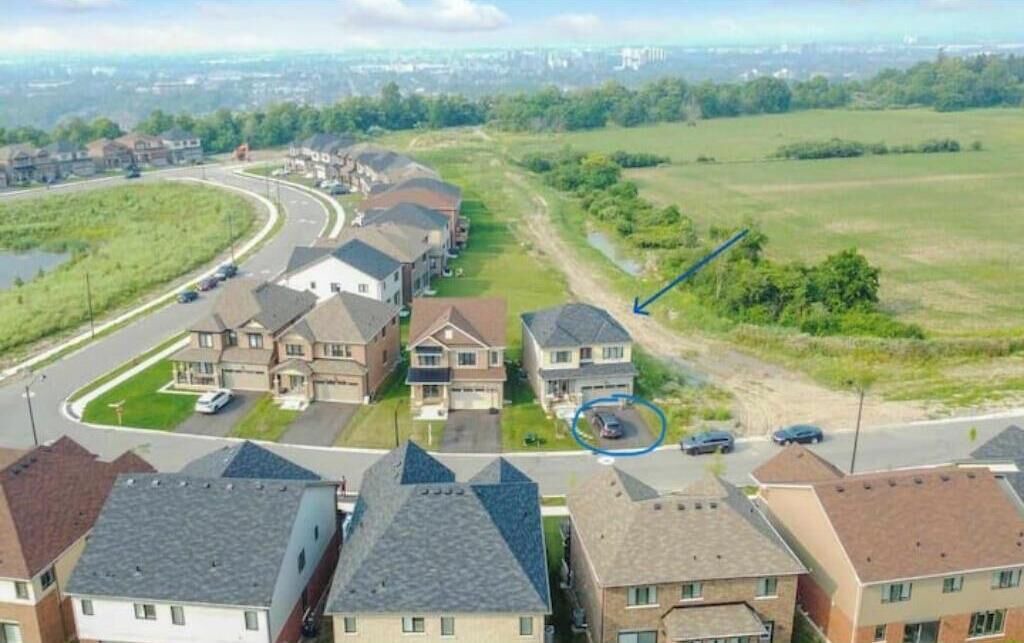 Photo of Outdoor in Hamilton