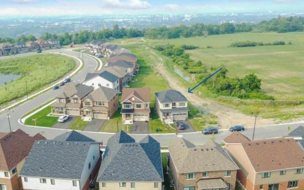 Photo of Outdoor in Hamilton