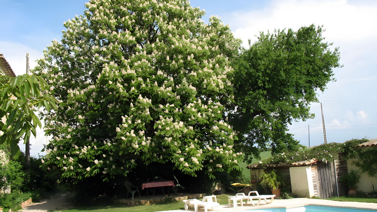 Photo of Outdoor in Sauzet