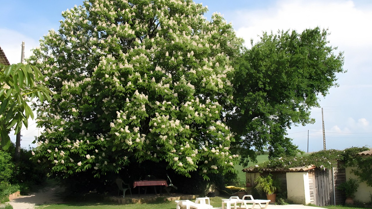 Photo of Outdoor in Sauzet