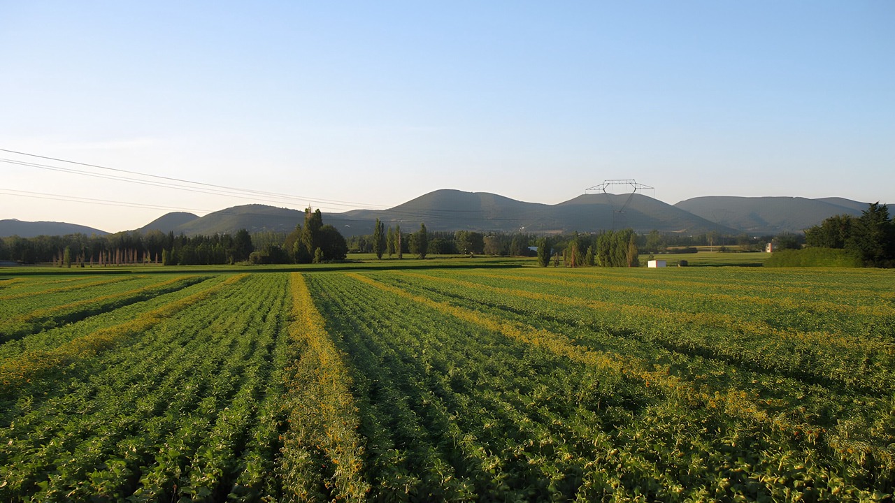 Photo of Others in Sauzet