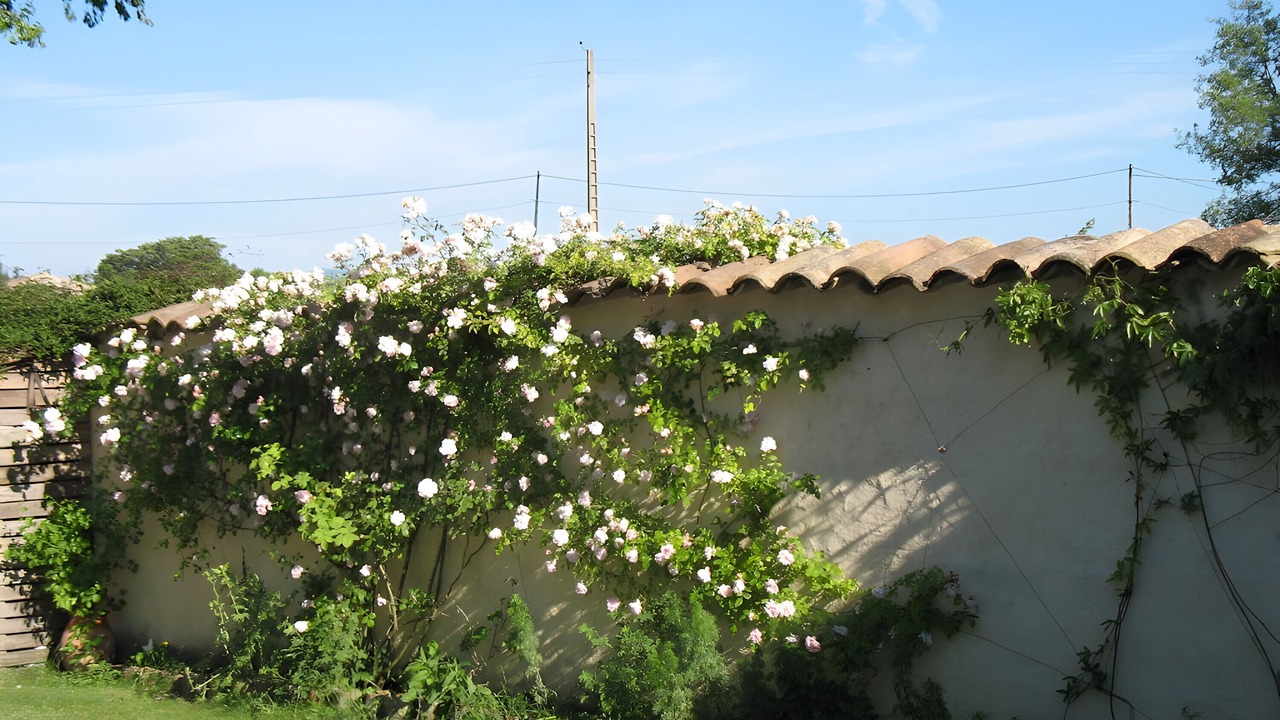 Photo of Outdoor in Sauzet