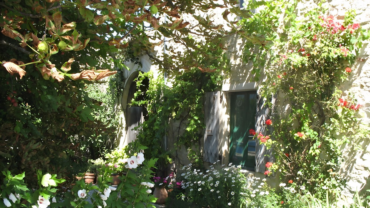 Photo of Outdoor in Sauzet