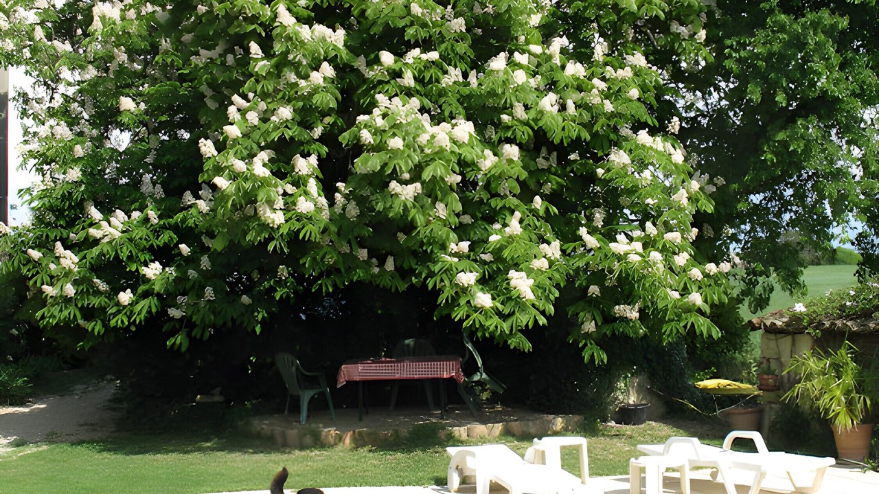 Photo of Outdoor in Sauzet