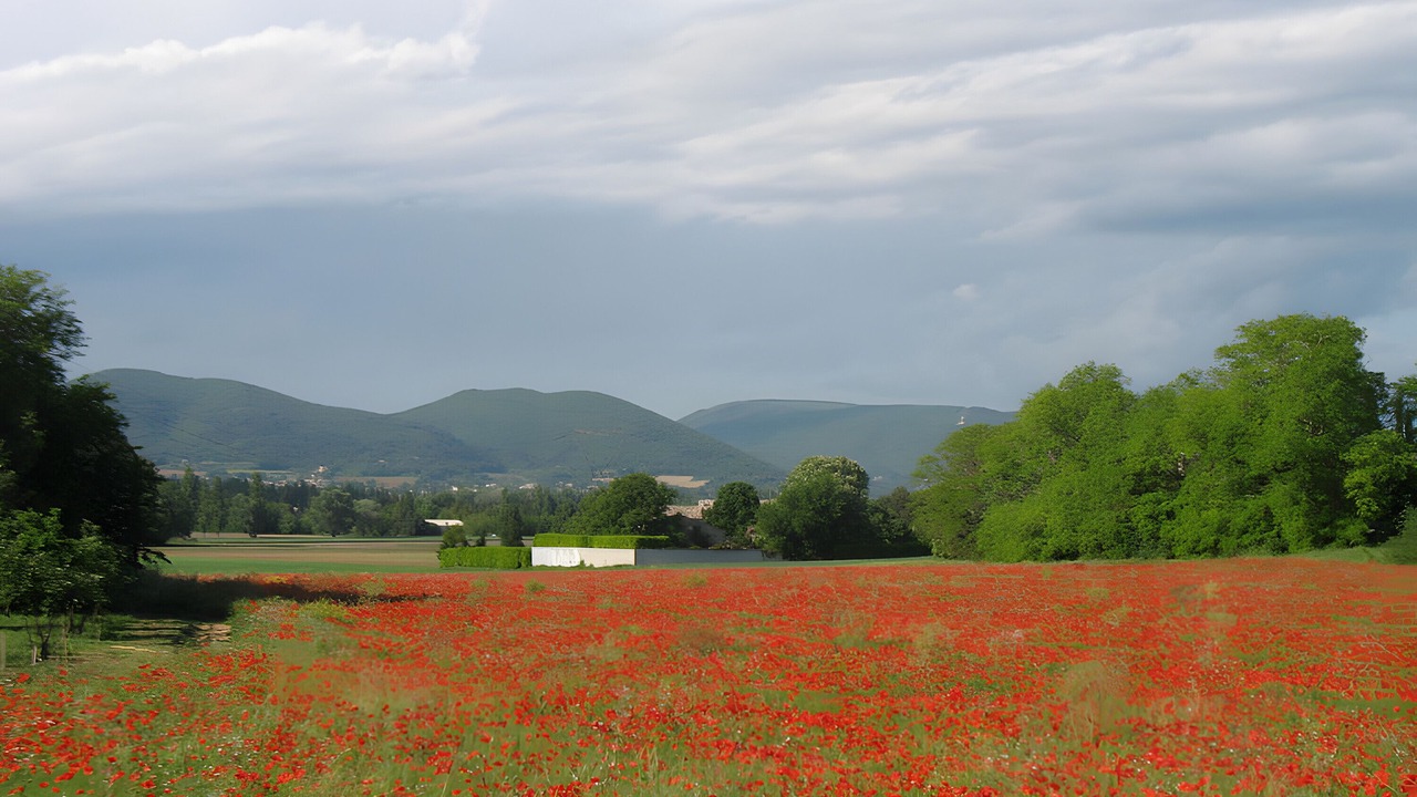 Photo of Others in Sauzet