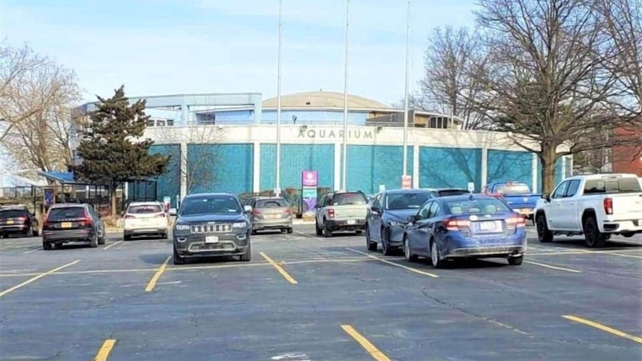 Photo of Others in Downtown Niagara Falls