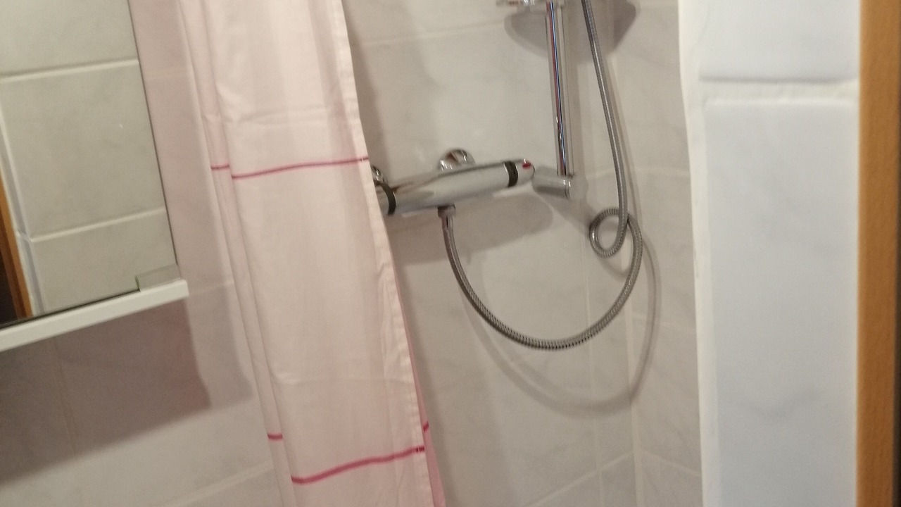 Photo of Bathroom in Les Paccots