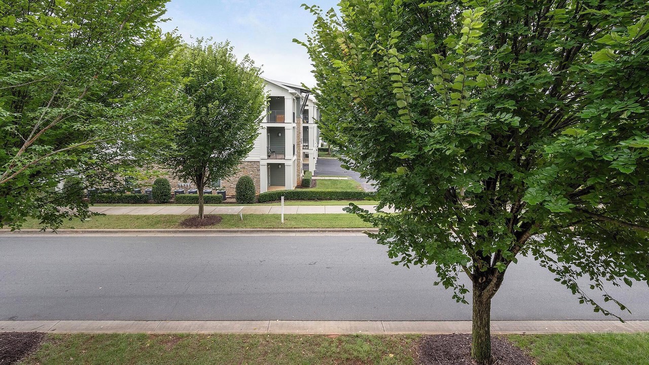 Photo of Outdoor in Paw Creek