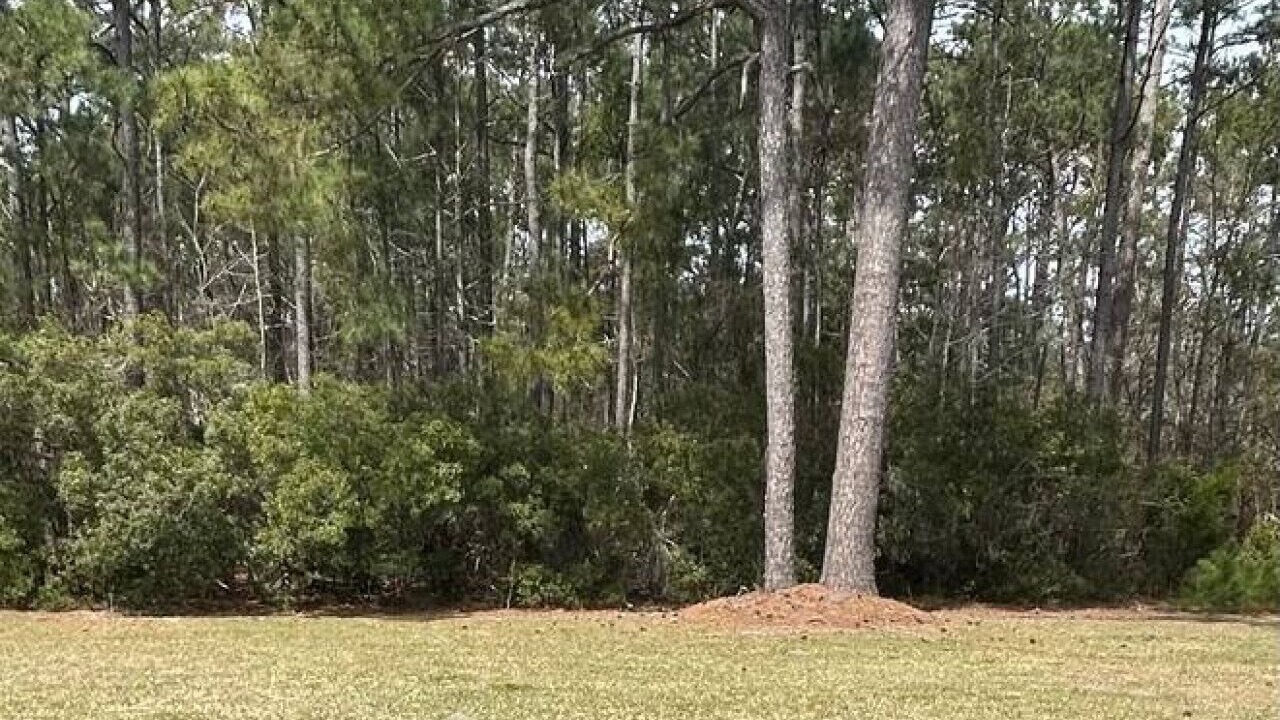 Photo of Outdoor in Swansboro