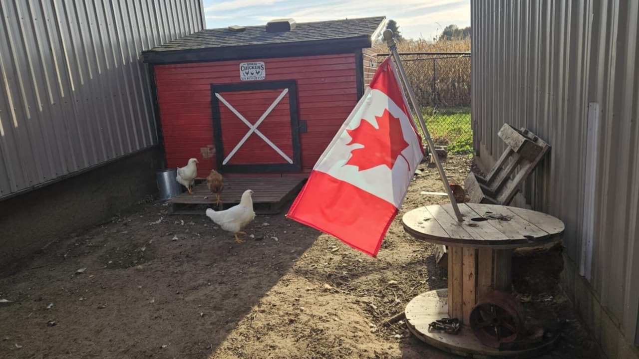 Photo of Outdoor in West Elgin