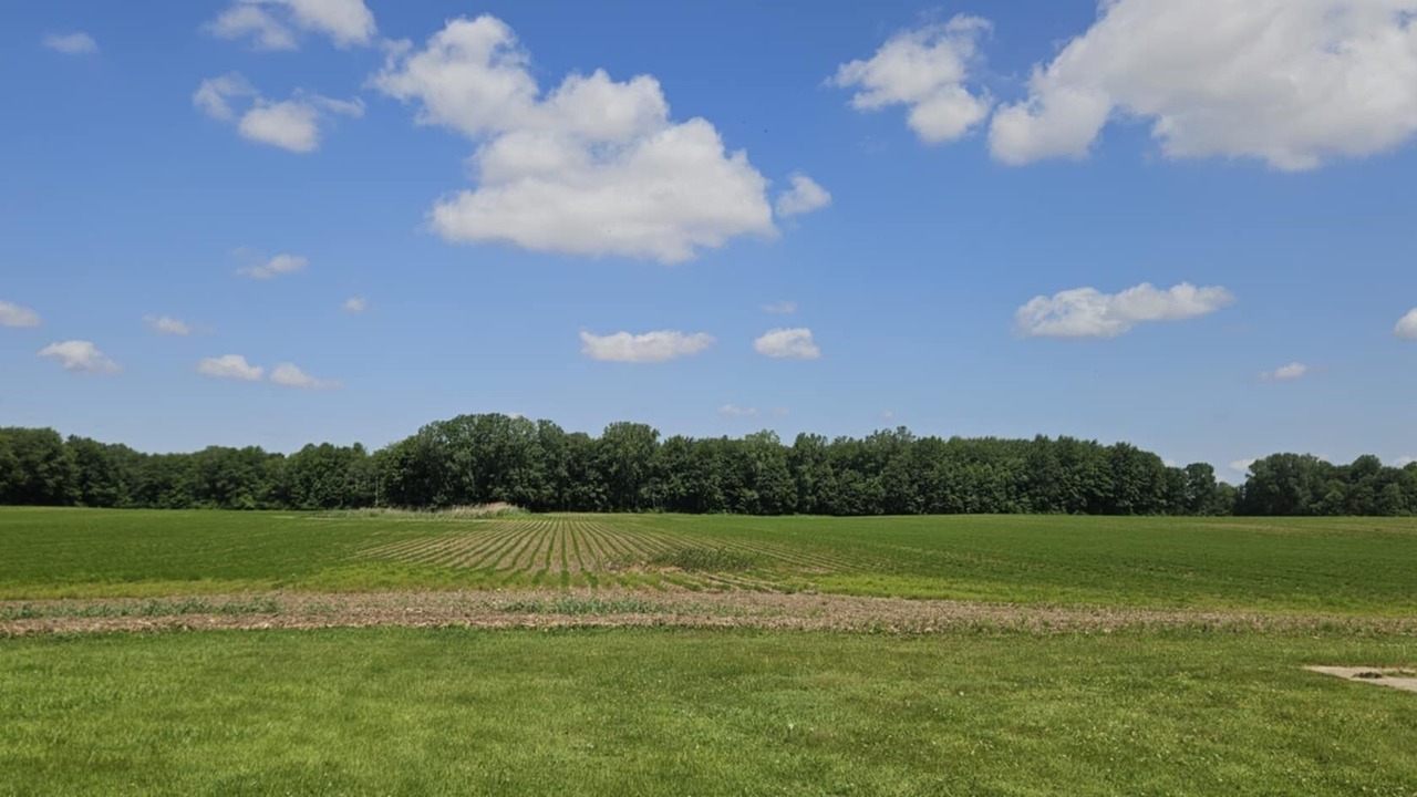 Photo of Others in West Elgin