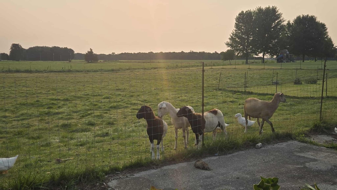 Photo of Others in West Elgin
