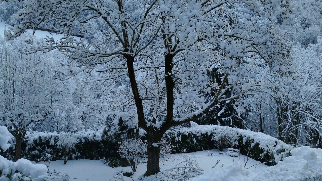 Photo of Outdoor in Luz-Saint-Sauveur