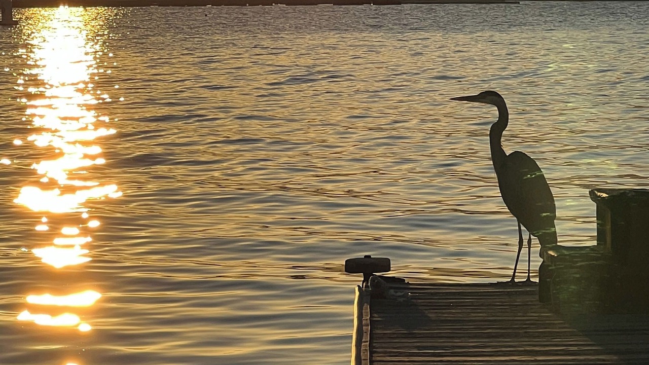 Photo of Others in Sausalito
