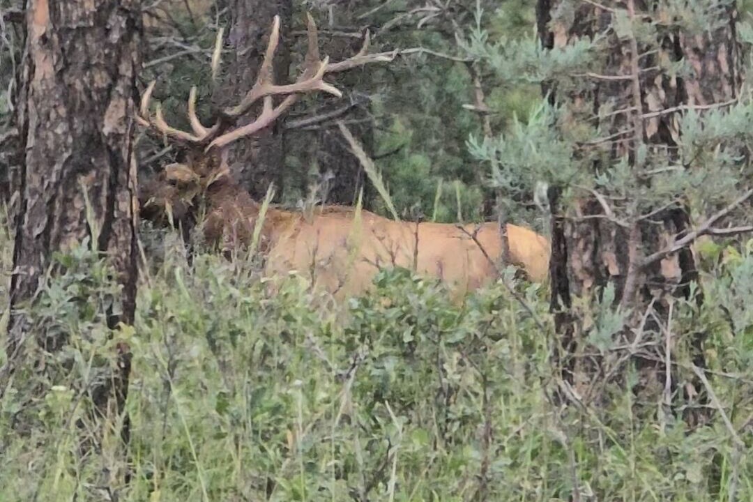 Photo of Others in Mayhill